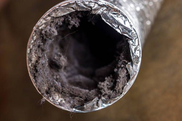 Best HVAC Duct Inspection Services  in Mount Olive, AL