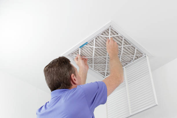 Best Residential Air Duct Cleaning  in Mount Olive, AL
